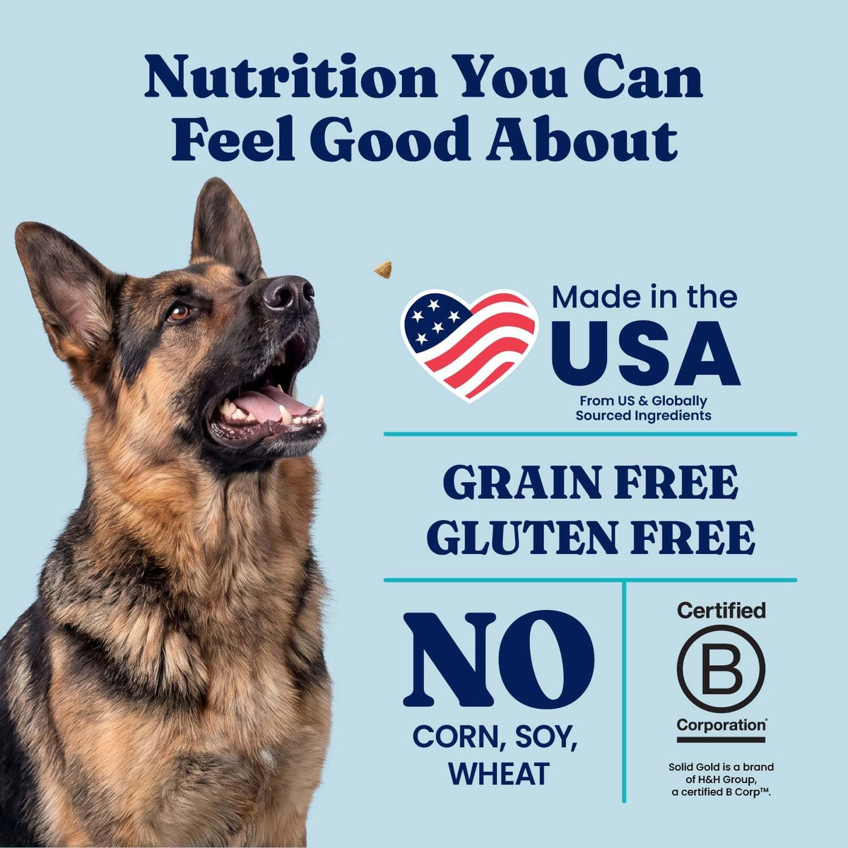 Solid Gold Ocean Fish Dry Dog Food for Sensitive Stomach, Low Fat, 4LB