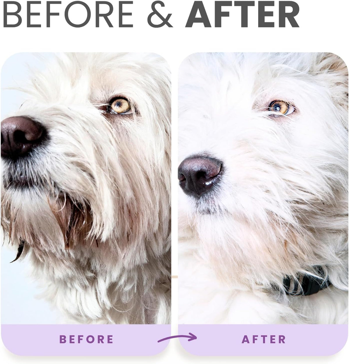 Brightening Shampoo & Oatmeal Conditioner Set for Dogs – Safe for Cats - Tear Free Coconut Scent with Aloe for Normal, Dry & Sensitive Skin