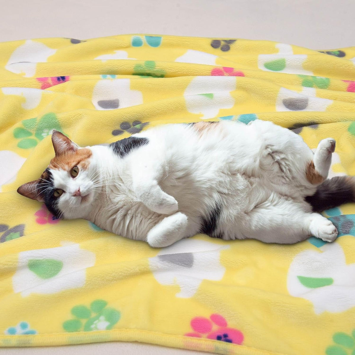Blanket for Large Dogs & Cats Soft Reversible Cute Paw 40"x31"