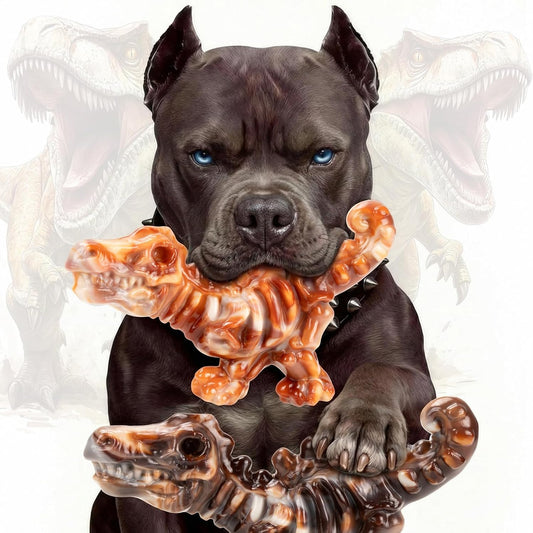 DinoBone 2-Pack Tough Dog Chew Toys for Aggressive Chewers, Rock-Hard Nylon
