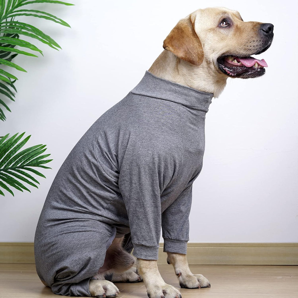 Dog Recovery Suit Abdominal Wound After Surgery Wear Prevent Licking Wounds E-Collar & Cone Alternatives Postoperative Shirt Dog Pajamas Long Sleeve Prevent Shedding (Large, Grey)
