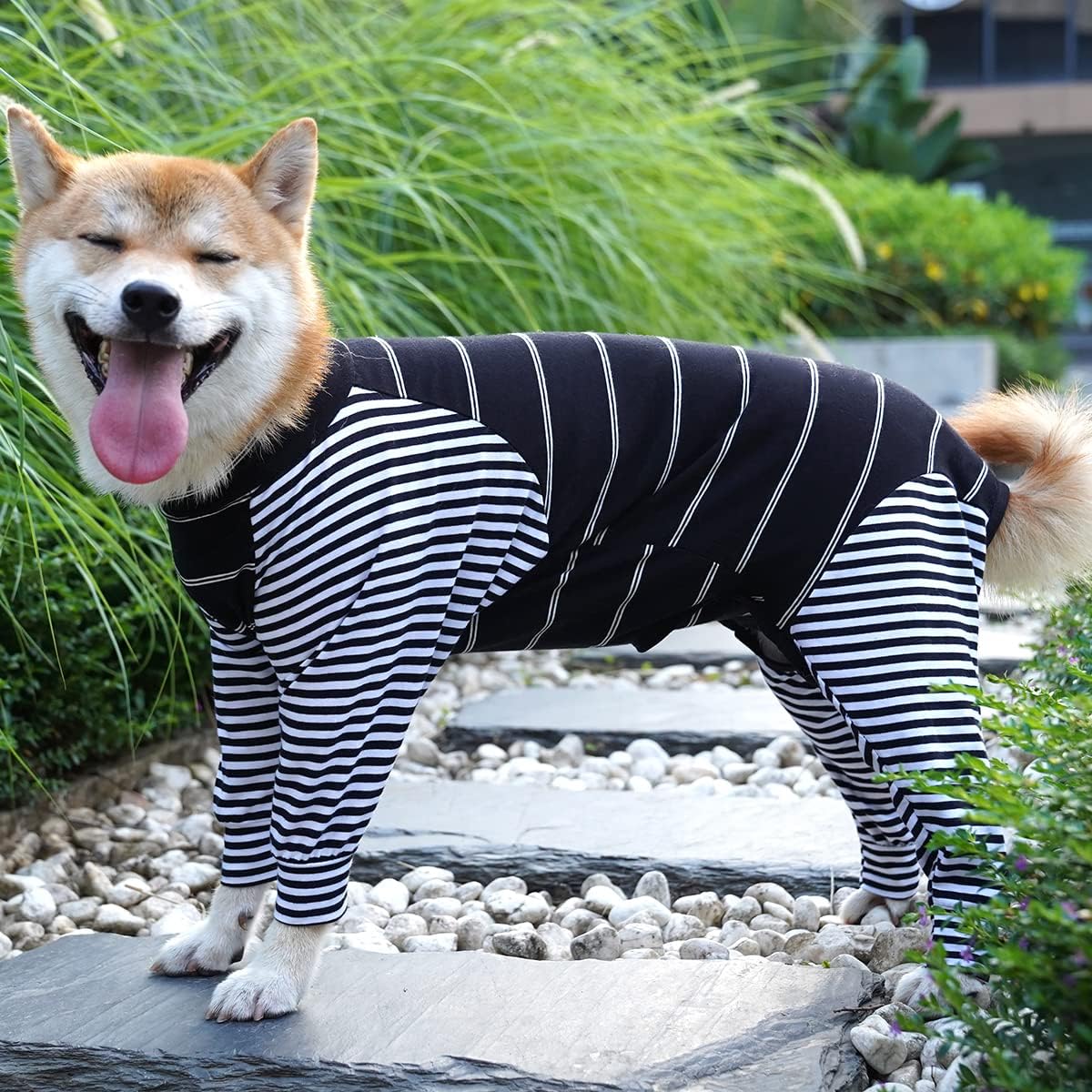 Dog Recovery Suit Abdominal Wound After Surgery Wear Prevent Licking Wounds E-Collar & Cone Alternatives Postoperative Shirt Dog Pajamas Long Sleeve Prevent Shedding (Large, Grey)