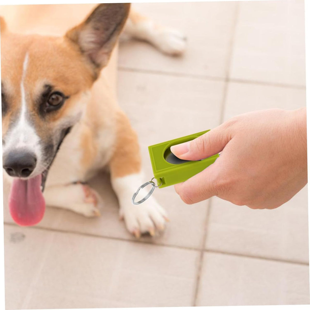2pcs Portable Square Box Training Clicker Puppy Clicker Trainer for Dogs Cats Birds Lizards Fish Aid for Indoor Use (Black+Green)