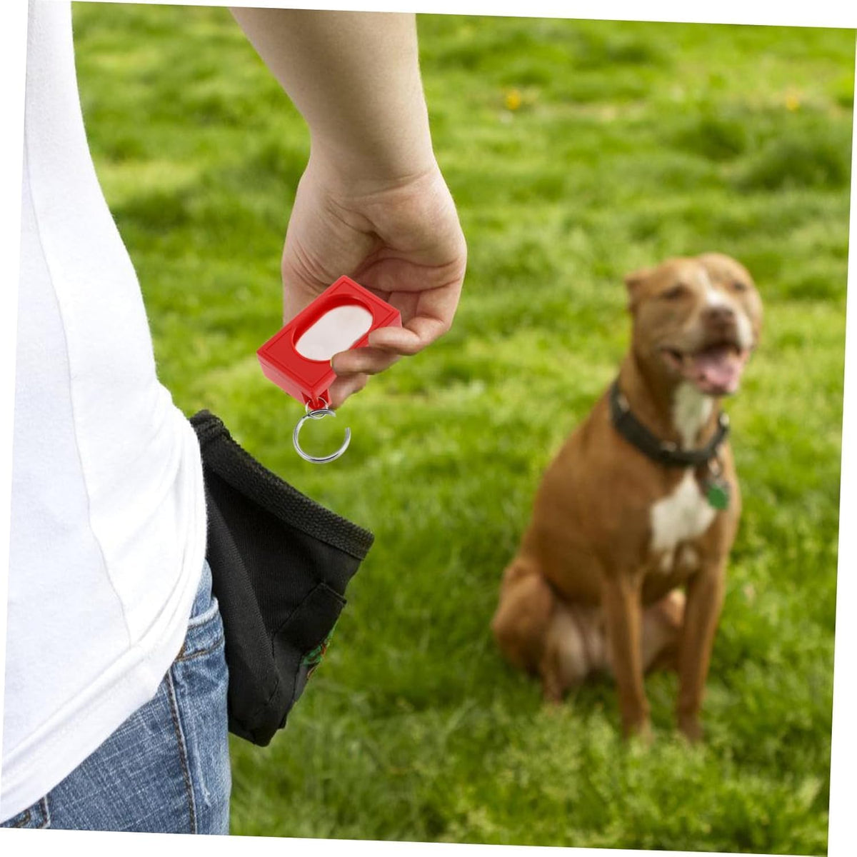 2pcs Portable Square Box Training Clicker Puppy Clicker Trainer for Dogs Cats Birds Lizards Fish Aid for Indoor Use (Black+Green)