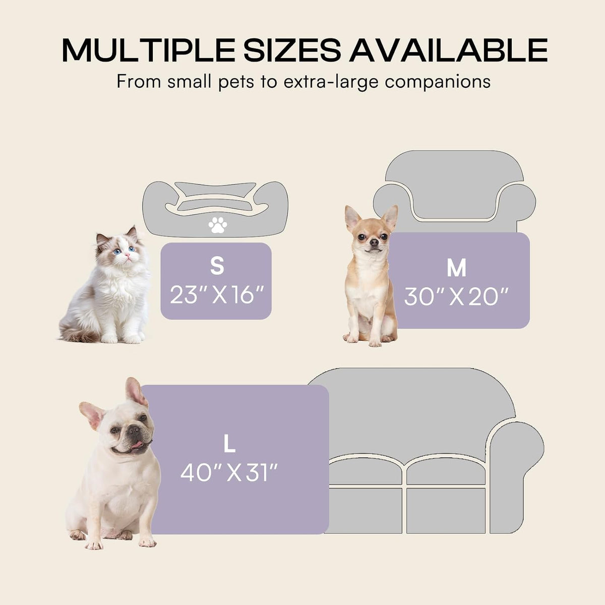 3 Pack Cute Dog Blankets Soft Fleece for Small Puppy Cat,23"x16"