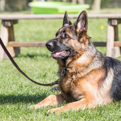 Leather Dog Leash 4ft, Heavy Duty Training Leash for Large Medium Dogs