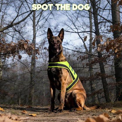 Dog Reflective Vest, High Visibility Safety Vest for Small Medium Large Dogs, Easy-On Adjustable Reflective Jacket for Outdoor Hunting Night Walking Jogging, Bright Yellow