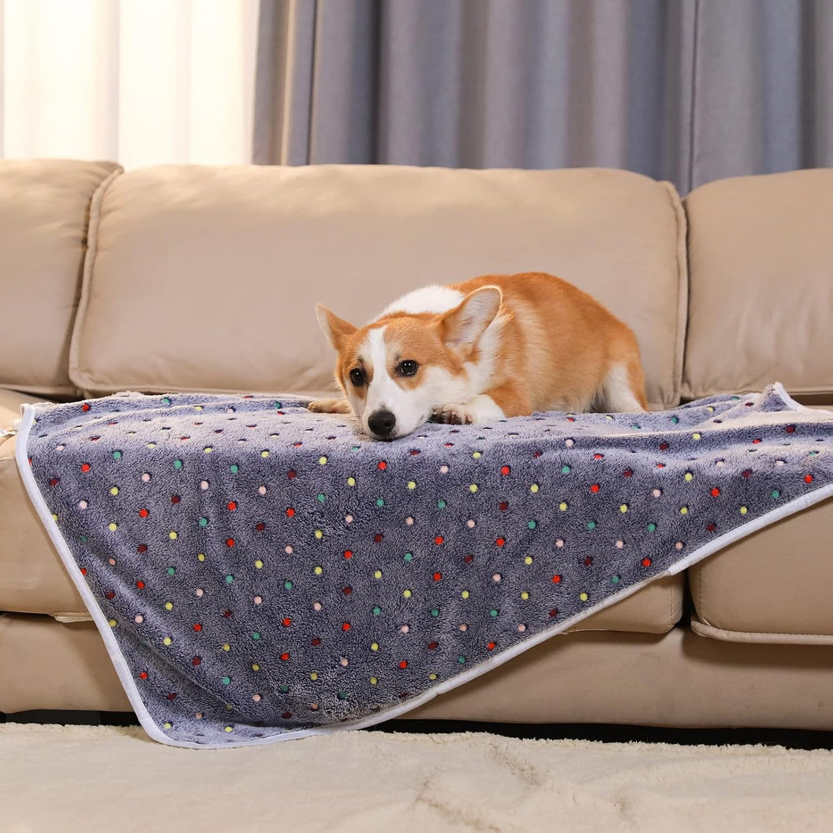 1 Pack 3 Blankets Super Soft Cute Dot Pattern Pet Blanket Flannel Throw for Dog Puppy Cat Beige/Brown/Pink Small