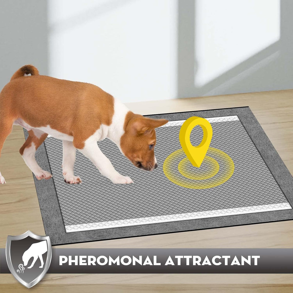 Charcoal Pee Pads for Dogs Odor Control Leak Proof 23x24in
