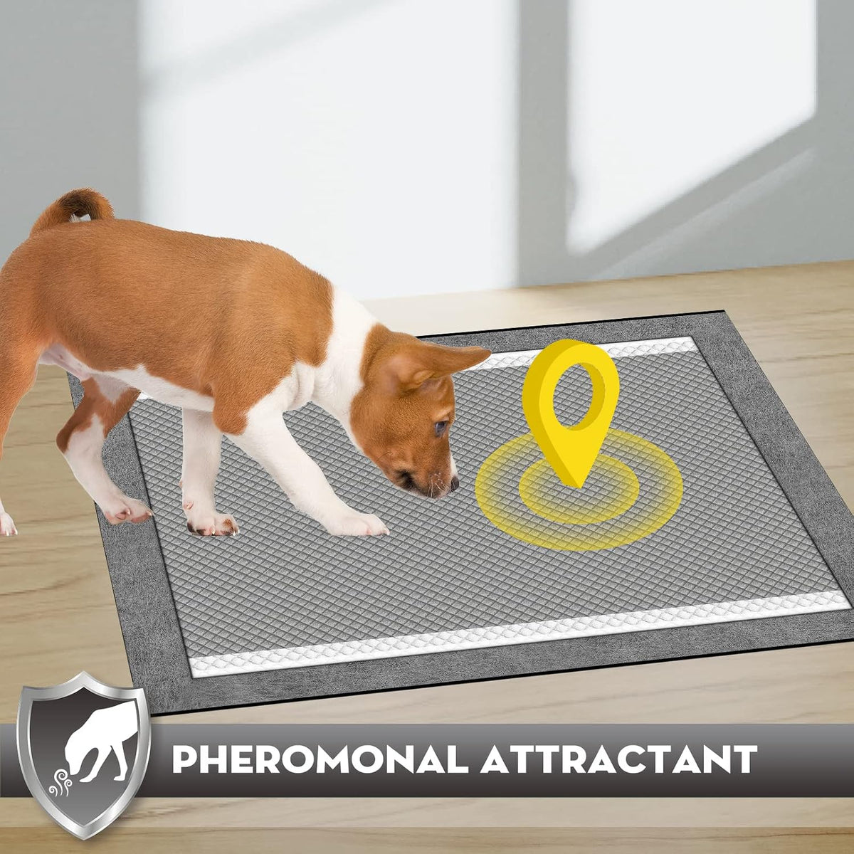 Charcoal Pee Pads for Dogs Odor Control Leak Proof 23x24in