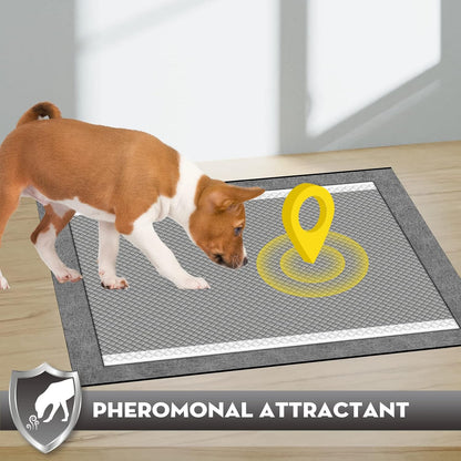 Charcoal Pee Pads for Dogs Odor Control Leak Proof 23x24in