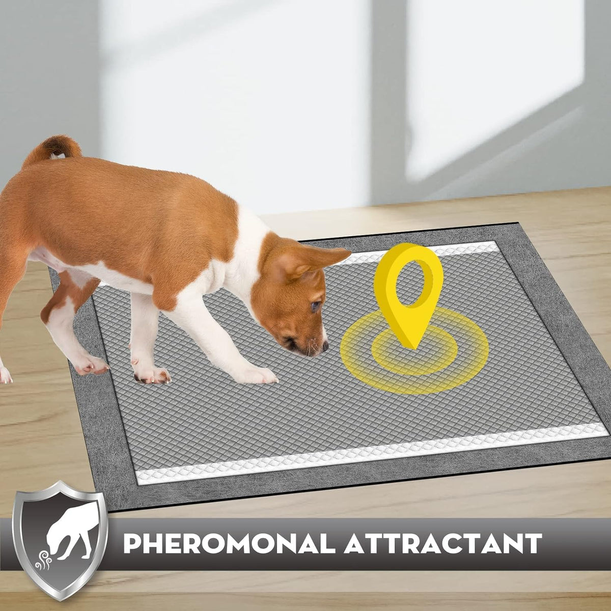 Charcoal Pee Pads for Dogs Odor Control Leak Proof 23x24in