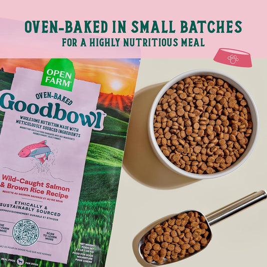 Goodbowl Wild Caught Salmon Dry Dog Food, 22lb Bag