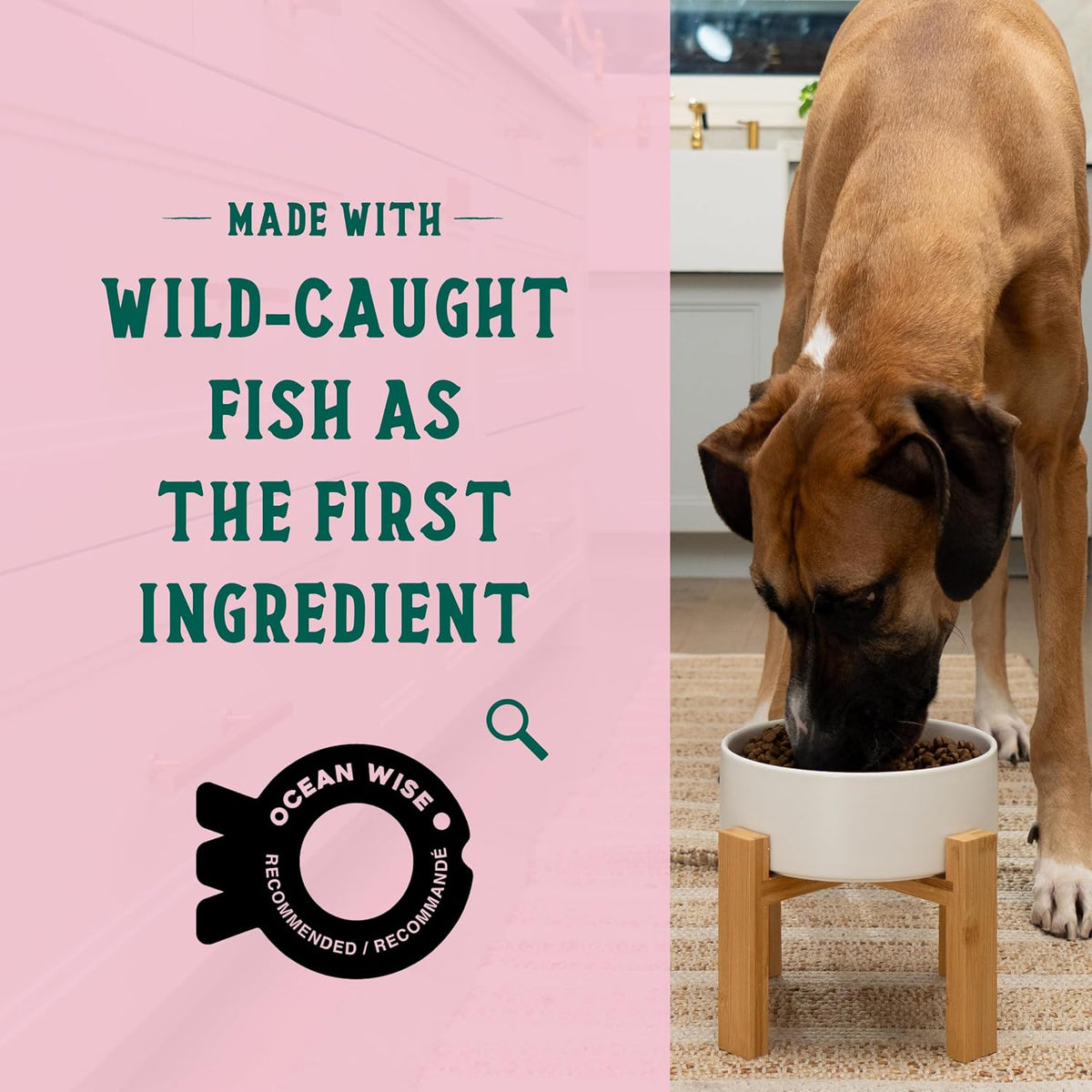 Goodbowl Wild Caught Salmon Dry Dog Food, 22lb Bag