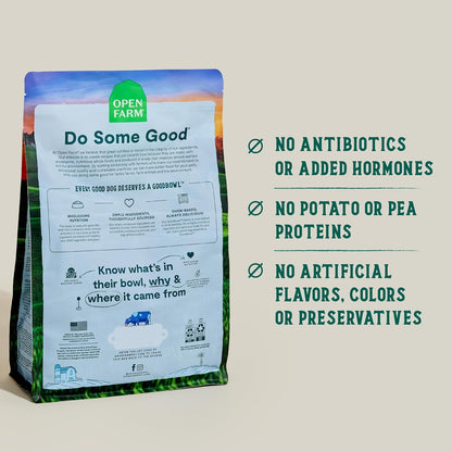 Goodbowl Wild Caught Salmon Dry Dog Food, 22lb Bag