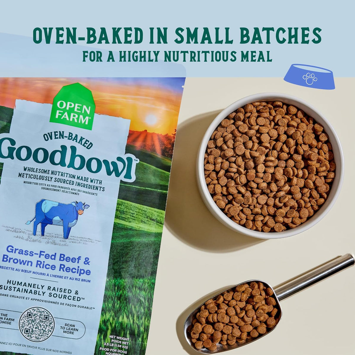 Goodbowl Wild Caught Salmon Dry Dog Food, 22lb Bag