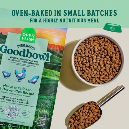 Goodbowl Wild Caught Salmon Dry Dog Food, 22lb Bag