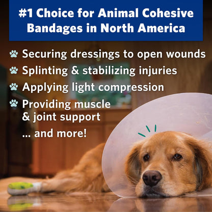 PetFlex No Chew – Flexible Self-Adhering Elastic Bandage for Wound Care – First Aid Wrap for Small Animals Like Dogs, Cats, and Other Pets - 2 inch, 2 Rolls