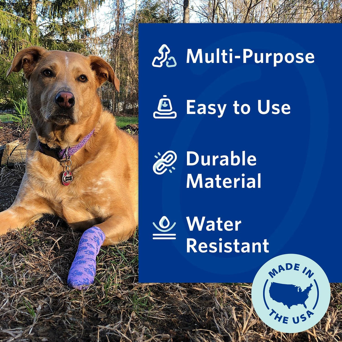 PetFlex No Chew – Flexible Self-Adhering Elastic Bandage for Wound Care – First Aid Wrap for Small Animals Like Dogs, Cats, and Other Pets - 2 inch, 2 Rolls