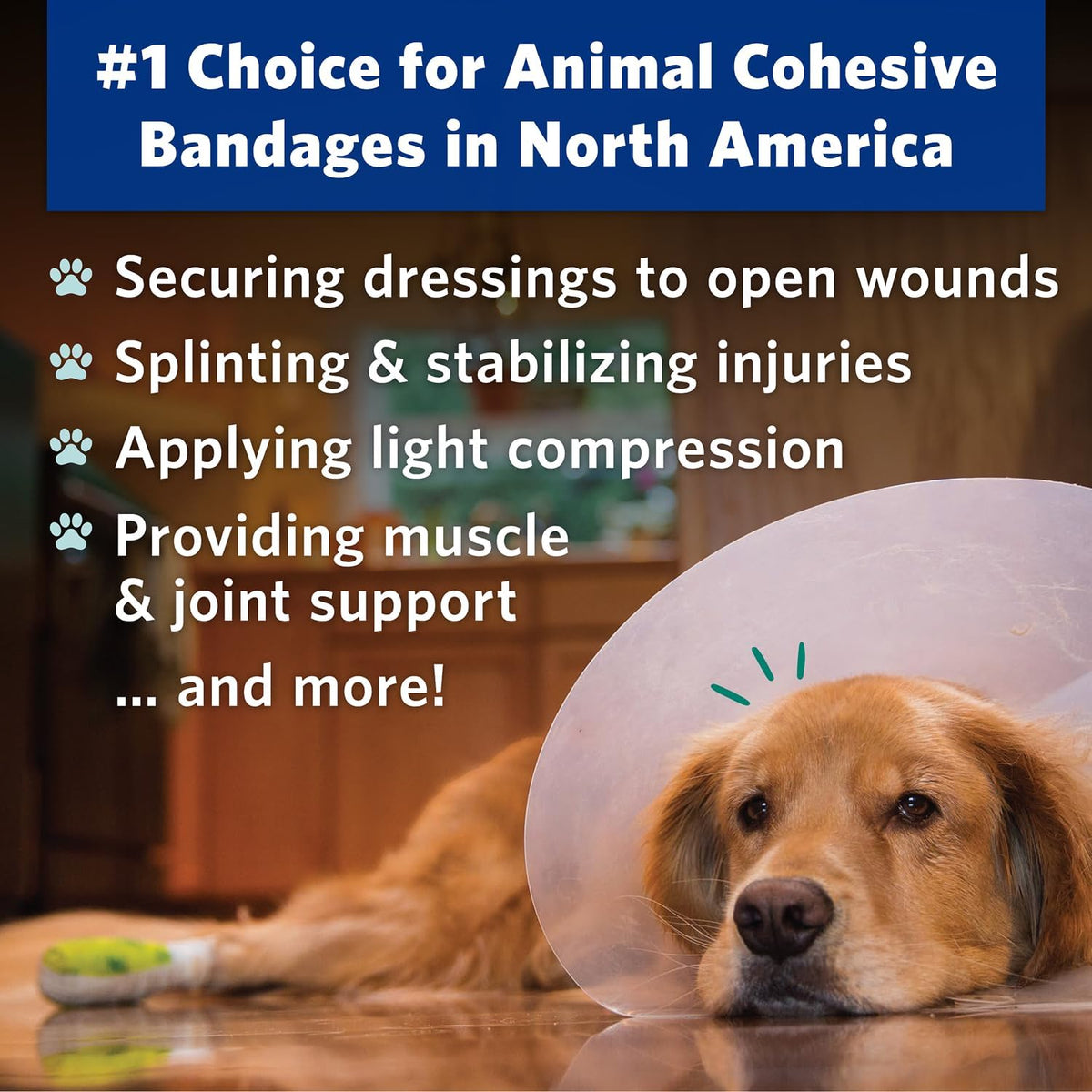 PetFlex No Chew – Flexible Self-Adhering Elastic Bandage for Wound Care – First Aid Wrap for Small Animals Like Dogs, Cats, and Other Pets - 2 inch, 2 Rolls