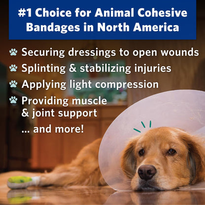 PetFlex No Chew – Flexible Self-Adhering Elastic Bandage for Wound Care – First Aid Wrap for Small Animals Like Dogs, Cats, and Other Pets - 2 inch, 2 Rolls