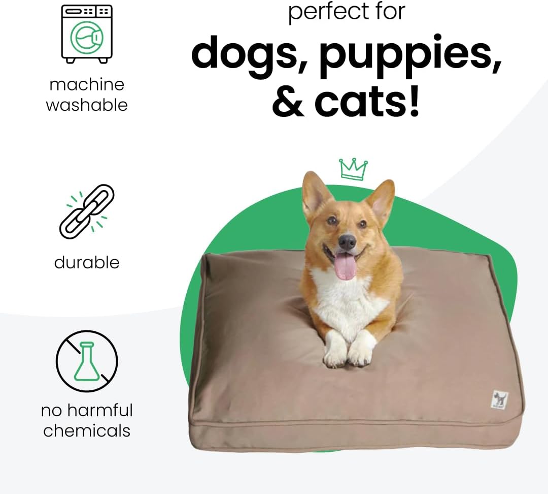 Molly Mutt Medium to Large Dog Bed Cover- Forever Young Print - Measures 27”X36”X5’’ - 100% Cotton - Durable - Breathable - Sustainable - Machine Washable Dog Bed Cover (Dd82b)