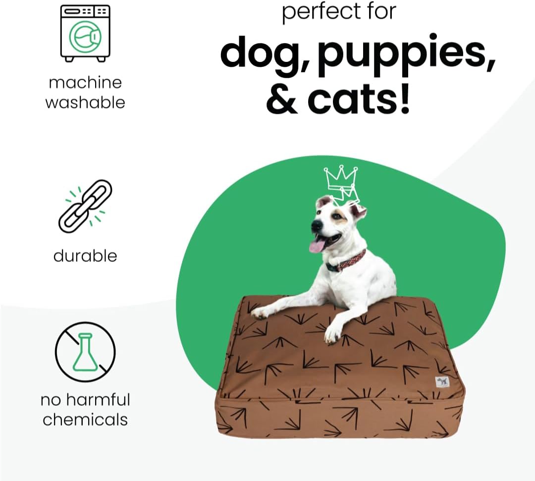 Molly Mutt Medium to Large Dog Bed Cover- Forever Young Print - Measures 27”X36”X5’’ - 100% Cotton - Durable - Breathable - Sustainable - Machine Washable Dog Bed Cover (Dd82b)