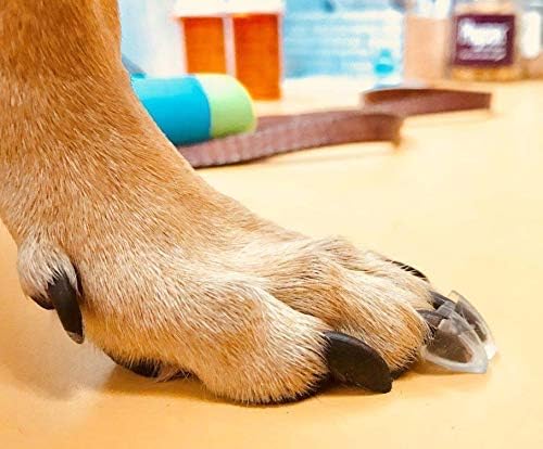 TAKTIKAL Dr. McHenry's Dog Toe Treads, Set of 24, Adhesive, Cleaning Brush, Increased Traction, Dog Mobility Support, X-Large Kit- Weight: 60-150 lbs. Net Weight 1.6 oz.