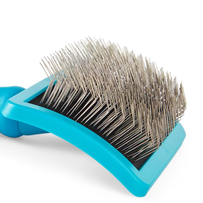 Well & Good by Petco ProStyle Doodle Slicker Brush