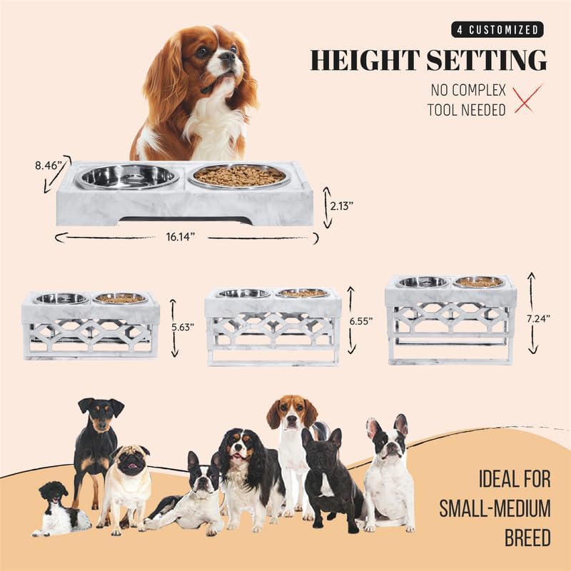 AVERYDAY Elevated Dog Bowls, 4 Height Adjustable Stand for Medium and Large Dogs, Raised Dog Feeder Holder with 2 Stainless Steel Food and Water Bowls, Anti-Slip Base Tall Feeding Station