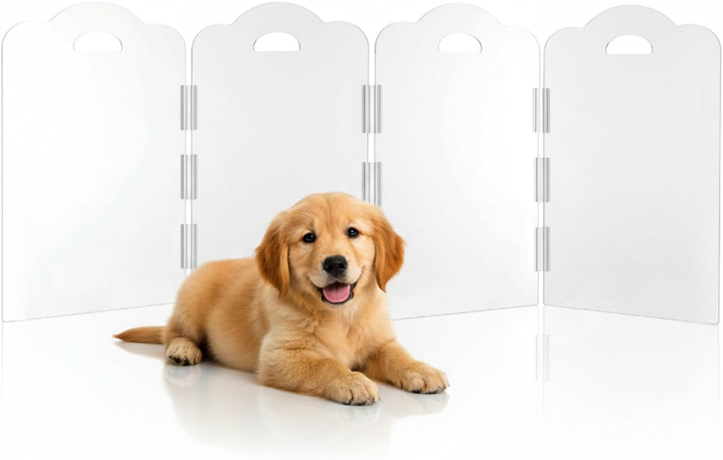 Clear Acrylic Dog Gate Indoor, Free-Standing Pet Gate, 24" Height (Size M) Foldable 4 Modular Panels, Dog Fence for Doorways, Hallways, Stairs, No Drilling, Perfect for Puppies and Small Pets