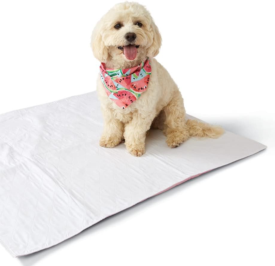 Medline Sofnit 300, Pack of 4 Large Washable Blue Underpads, 34”x 48” for use as reusable pet pads, reusable bed pads, great for dogs, cats and bunnies