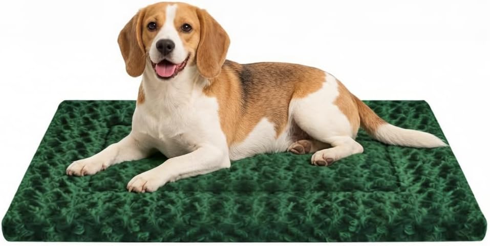 Dog Bed Mat, Reversible Crate Pad & Cute Dog Bed - Machine Washable Kennel Mat with Ultra Soft for Small Dogs (Cool/Warm), 24" x 18", Grey&Star