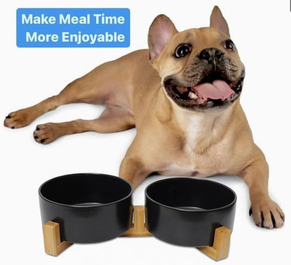 Ceramic Cat and Small Dog Bowl Set – Modern Indoor Small Size Pet Food and Water Bowls with Wood Stand – Non Slip Puppy Sized Feeding Station with Double Dishes (Gray)