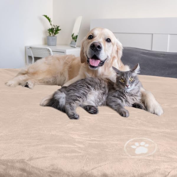 Waterproof Pet Blanket - 50x60-Inch Reversible Sherpa Fleece Throw Protects Couches, Cars, and Beds from Spills, Stains, and Fur by PETMAKER (Gray)
