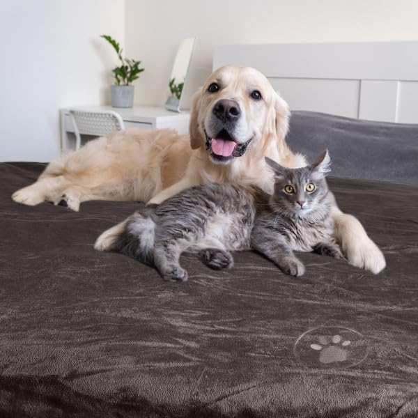 Waterproof Pet Blanket - 50x60-Inch Reversible Sherpa Fleece Throw Protects Couches, Cars, and Beds from Spills, Stains, and Fur by PETMAKER (Gray)