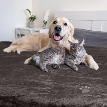 Waterproof Pet Blanket - 50x60-Inch Reversible Sherpa Fleece Throw Protects Couches, Cars, and Beds from Spills, Stains, and Fur by PETMAKER (Gray)