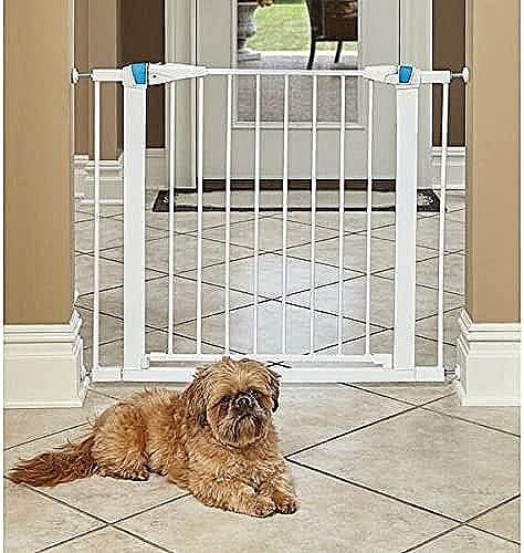 MidWest Homes for Pets 39 Inches Tall Walk-Though Steel Pet Gate, Pressure Mounted Dog Gatewith Glow Strip Measures 29-38 Inches Wide & Includes Two 3-Inch-Wide Extensions, Graphite