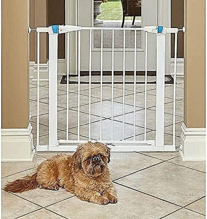 MidWest Homes for Pets 39 Inches Tall Walk-Though Steel Pet Gate, Pressure Mounted Dog Gatewith Glow Strip Measures 29-38 Inches Wide & Includes Two 3-Inch-Wide Extensions, Graphite