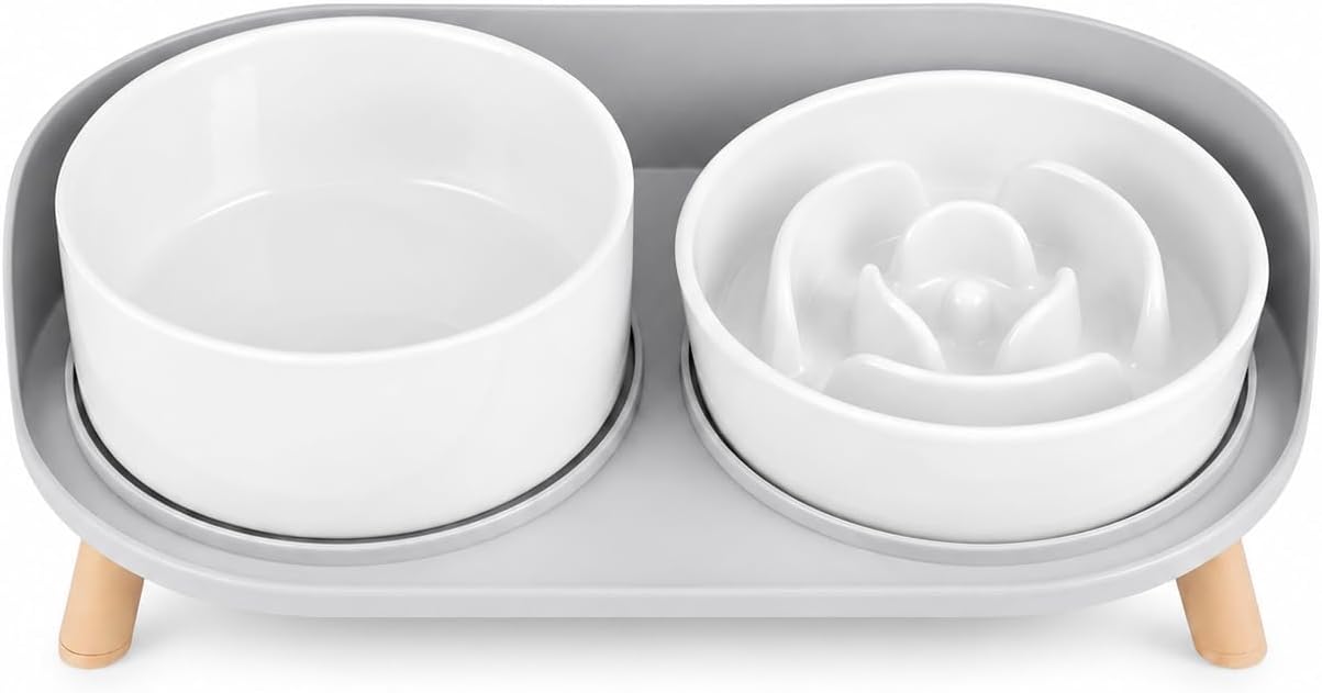 Elevated Slow Feeder Dog Bowls - Ceramic Food and Water Bowl Set with Stand - Raised Pet Dishes for Small and Medium Sized Dogs