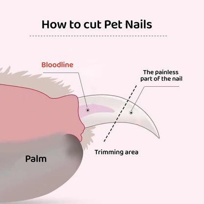 Quiet 2 in 1 Dog Nail Clippers & Cat Claw Trimmers,USB Rechargeable Claw Clippers for Small Medium Dogs and Cats,Cordless Safe Guard Nail Grinder with LED Lights Pink