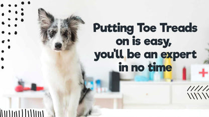 Dr. McHenry's Dog Toe Treads, Set of 24, Adhesive, Cleaning Brush, Increased Traction, Dog Mobility Support, X-Large Kit- Weight: 60-150 lbs. 1.6 oz.