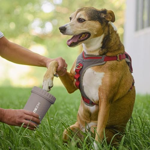 Dexas MudBuster Medium Dog Paw Cleaner in Fuchsia - Fits 1.5"-2.5" Wide Paws, Portable Paw Washer for Muddy Paws, Dog Paw Cleaning Cup with Gentle Silicone Bristles, Quick Clean Pet Paw Washer