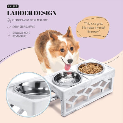 AVERYDAY Elevated Dog Bowls, 4 Height Adjustable Stand for Medium and Large Dogs, Raised Dog Feeder Holder with 2 Stainless Steel Food and Water Bowls, Anti-Slip Base Tall Feeding Station