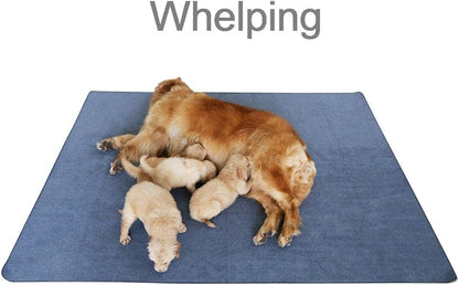 Peepeego 2Pack Pee Pads for Dogs Washable+Free Dog Comb, Waterproof Rugs 36”x48, Absorbent Dog Pads Reusable, Non Slip