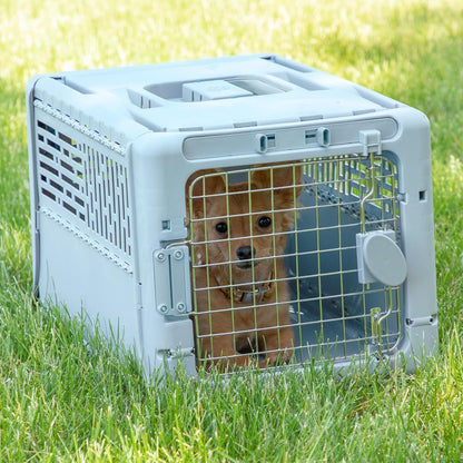 Collapsible Small Pet Travel Carrier (Tan), Hard-Sided Kennel for Small Dogs, Puppies, Cats, Kittens, Animals up to 25lbs, Washable Home & Outdoor Pet Crate, 24.5"L x 16.5"W x 16"H