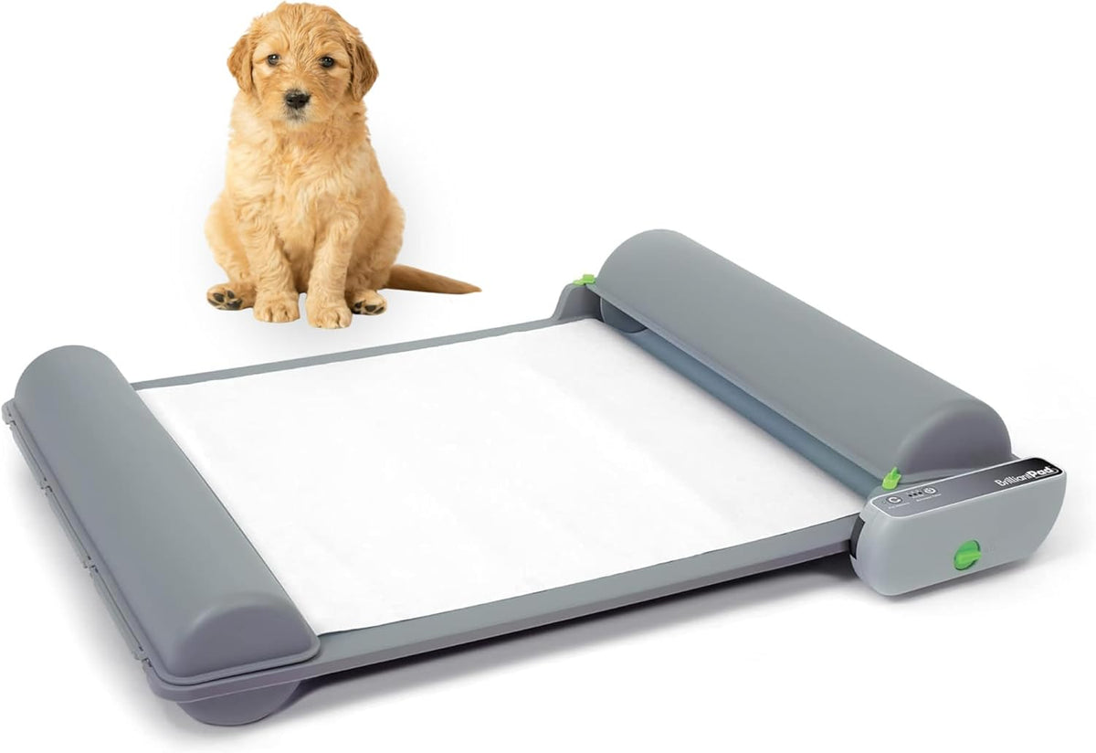 Automatic Self-Cleaning Indoor Dog Potty, Basic (1 Roll)