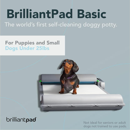 Automatic Self-Cleaning Indoor Dog Potty, Basic (1 Roll)
