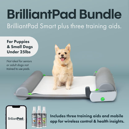 Automatic Self-Cleaning Indoor Dog Potty, Basic (1 Roll)
