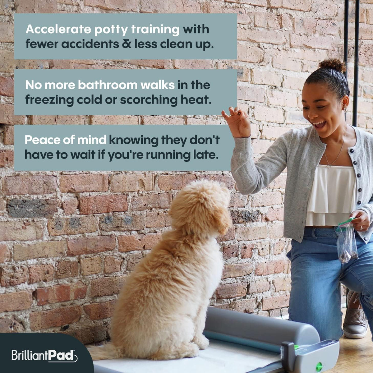 Automatic Self-Cleaning Indoor Dog Potty, Basic (1 Roll)
